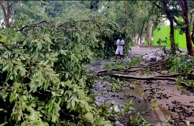 तेज आंधी तूफान के कारण मियाणी दसूहा मार्ग हुआ बंद